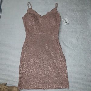 Scalloped V-Neck Stretch Lace Dress with Open Back